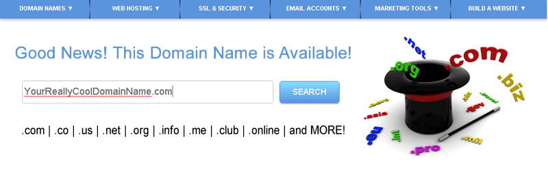 Domain Name Registration Main Header