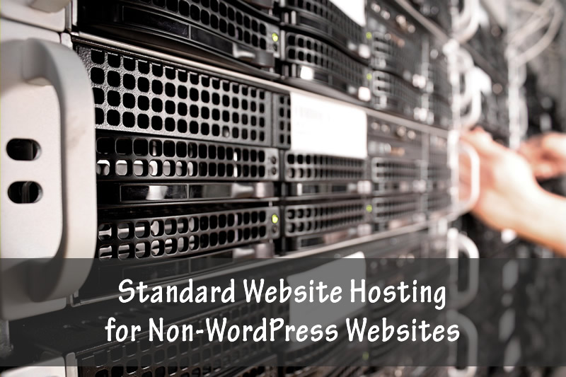 Standard website hosting for non-WordPress websites.