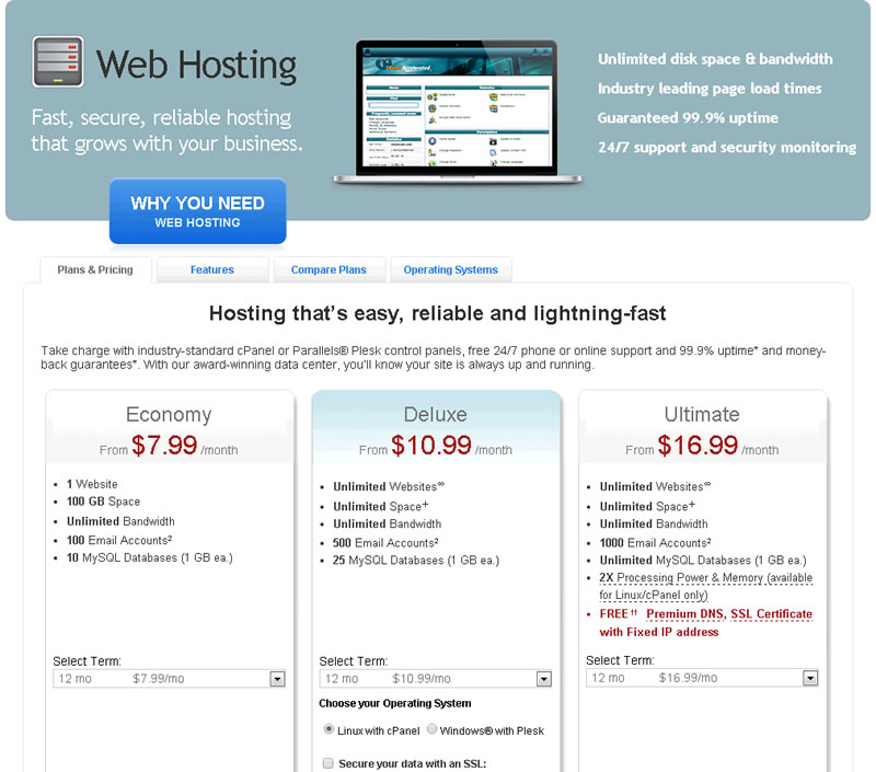 Standard website hosting options.